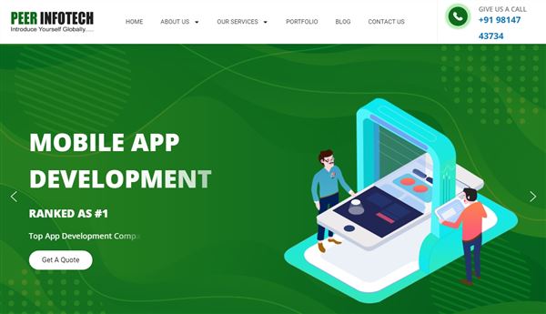 PEER INFOTECH - Website Designer Amritsar